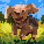 Grumble Growl