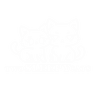 Two Sleepy Cats