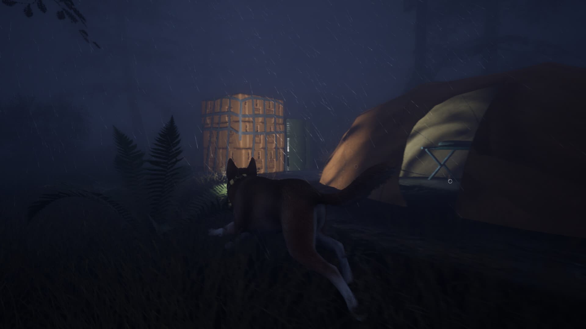 The Good Dog: Chasing Shadows
