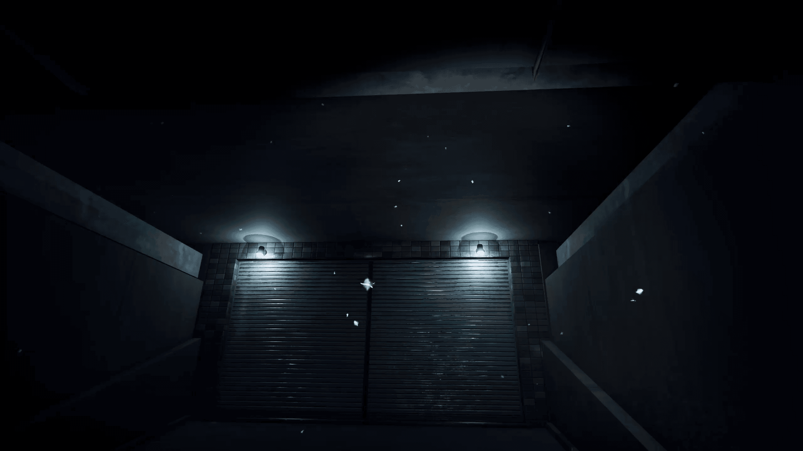 Last Call: Garage gate